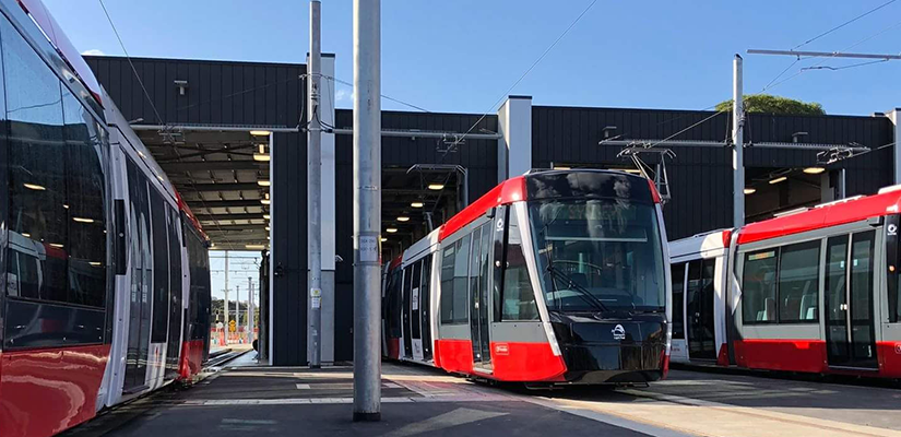 Sydney Light Rail Gets Service Frequency Boost On All Lines